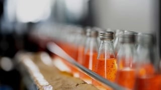 Beverage bottles lined up on a conveyor belt in a factory